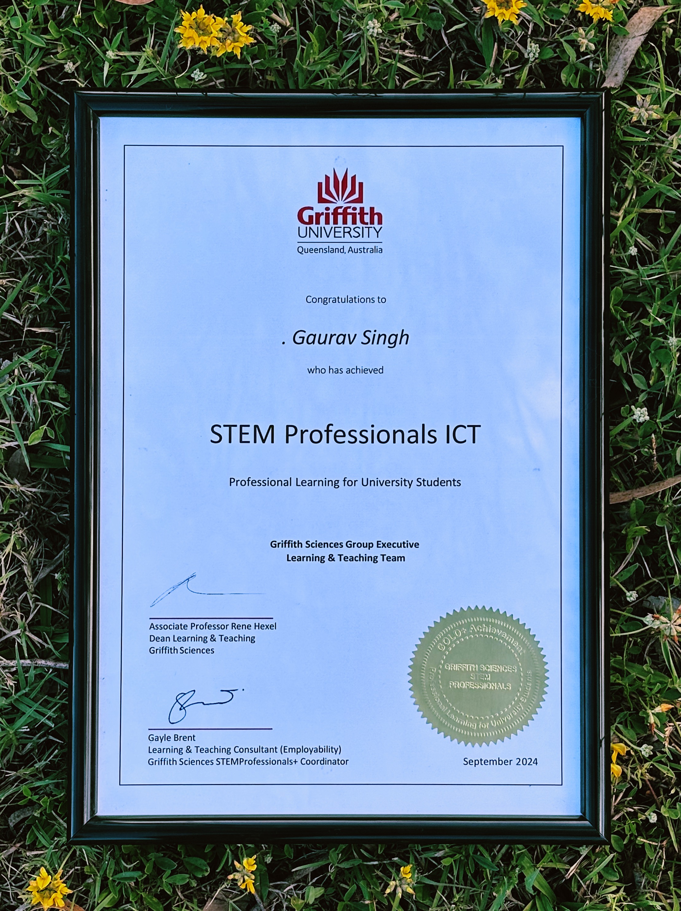 Stem Professionals Gold Achievement 2024